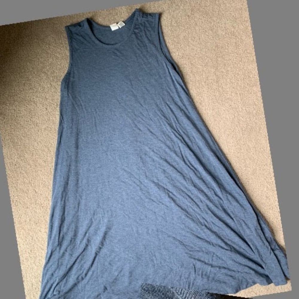 Artisan NY swing dress
